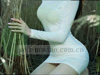 牡丹花与手部剪影